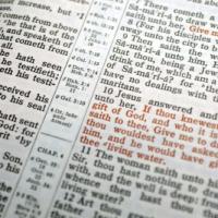Portrait of a Minister (1 Timothy 4:6-16)