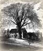 Anne Bradstreet, the 10th Muse, Silenced