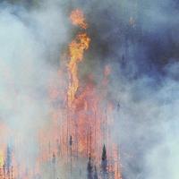 Living Through the San Diego Wildfires