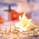 Holy Week: Should Your Family Participate in a Passion Play?