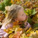 Autumn: A Season for Letting Go, Making Room