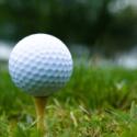 A Lesson from Tiger's Tale