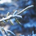 Are You Enduring a Financial Winter?