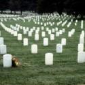 Memorial Day: Remembering Our Loved Ones