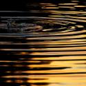 Small Choices, Big Ripples