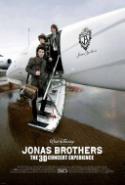 'Tweens, Teens Will Be Wowed by Jonas Bros in 3D