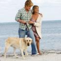 More Than a Dog's Life Explored in <i>Marley & Me</i>