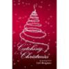 Catching Christmas