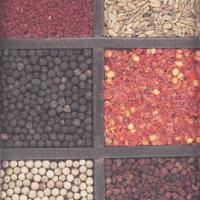 The Seeds God Uses