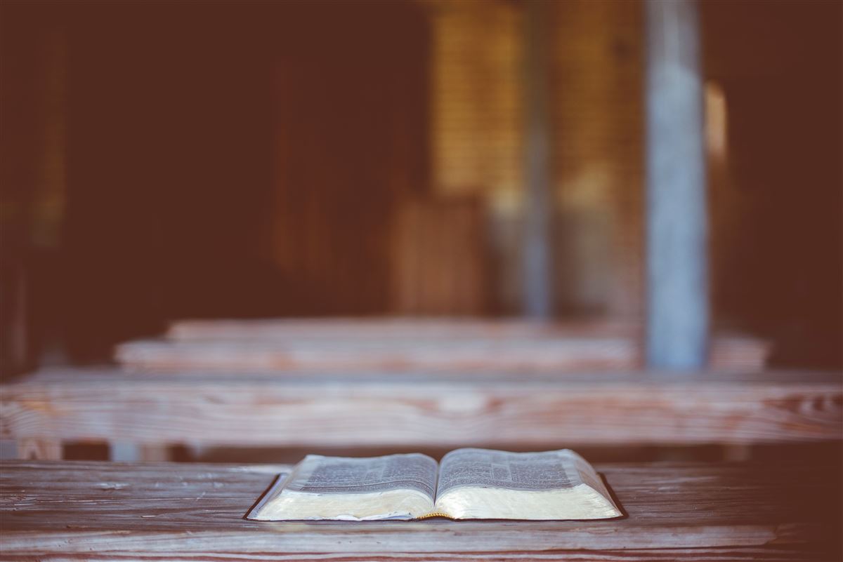 ¿Están los cristianos alejándose de la Biblia?