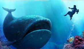 Image result for jonah and the whale