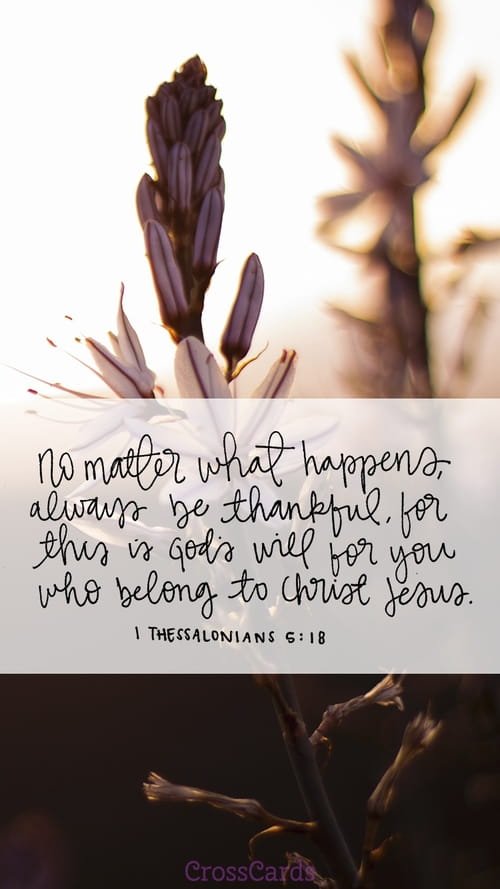 Always be Thankful - Phone Wallpaper and Mobile Background