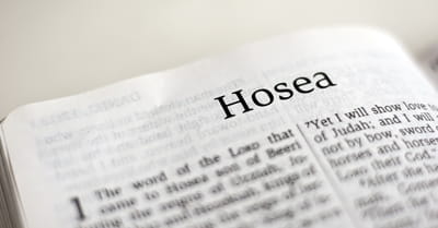 Minor Themes Of Hosea