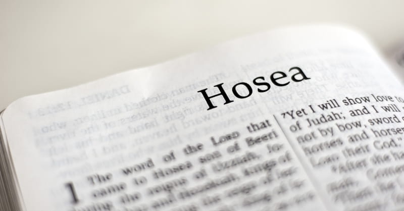 What Is Unique about the Book of Hosea? Christian Video Q&A