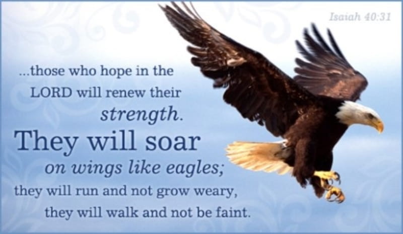 16-top-bible-verses-about-eagles-powerful-scripture-analogies-quotes