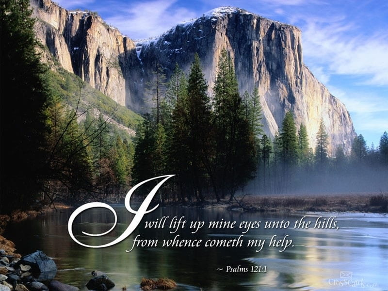 31 Most Popular Bible Verses from Psalms - Encouraging 