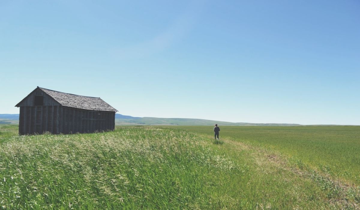 Bible Verses About Stewardship Stewards Of His Creation In Scripture