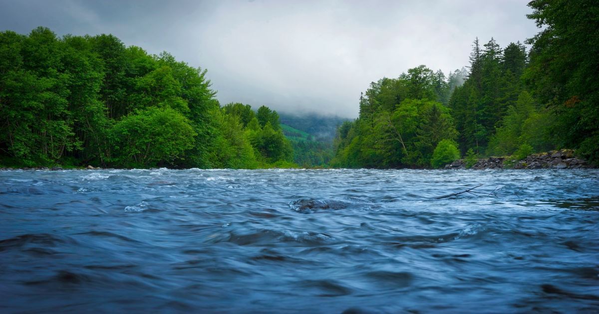 Why was jesus baptized what did it mean 