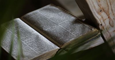 What Does the Bible Say About Idolatry?