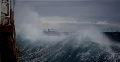 A Psalm for the fearful heart