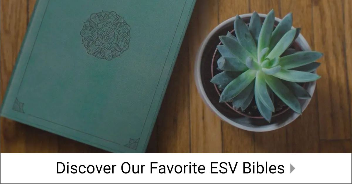 ephesians 6 10-18 esv