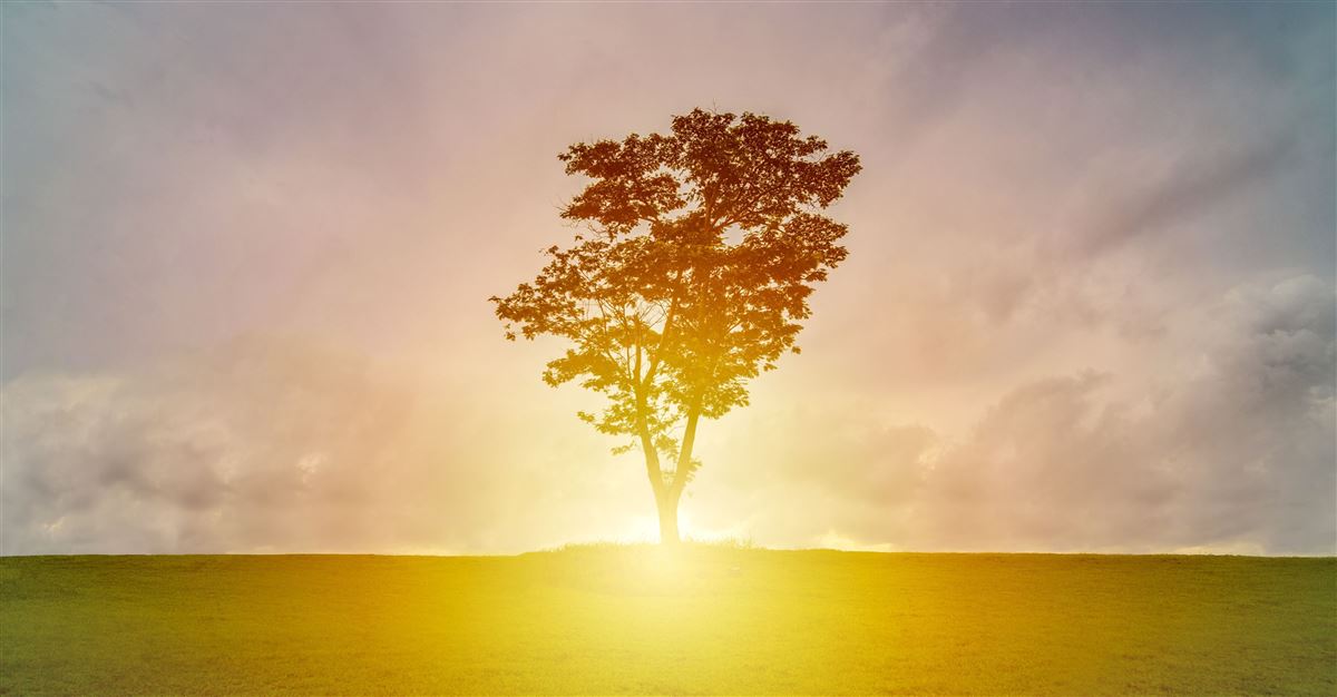 Reconciliation in the Bible: It's Meaning & Why We Need It