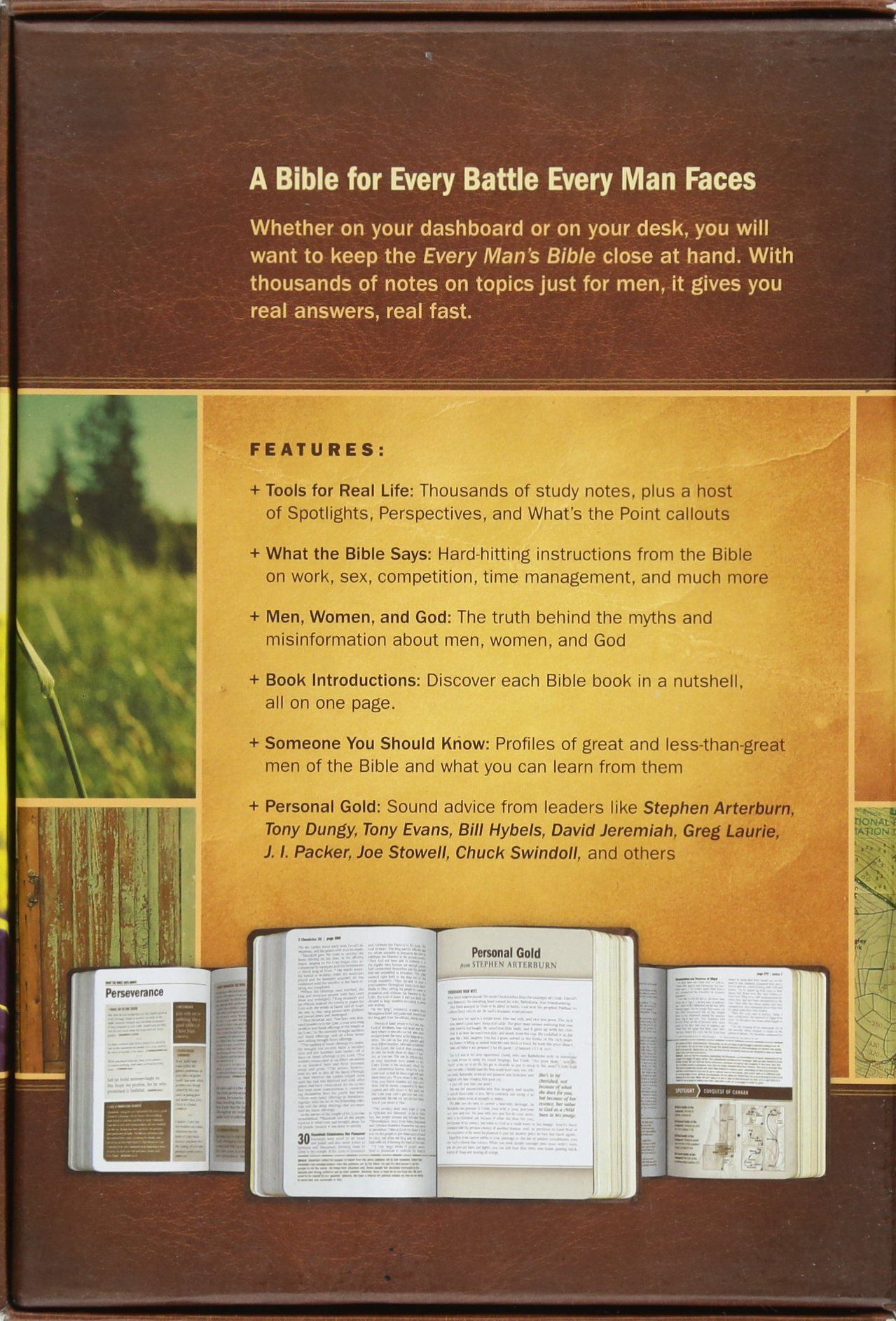 niv bible online free