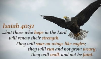 Image result for Isaiah 40:31