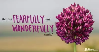 you are perfectly made scripture