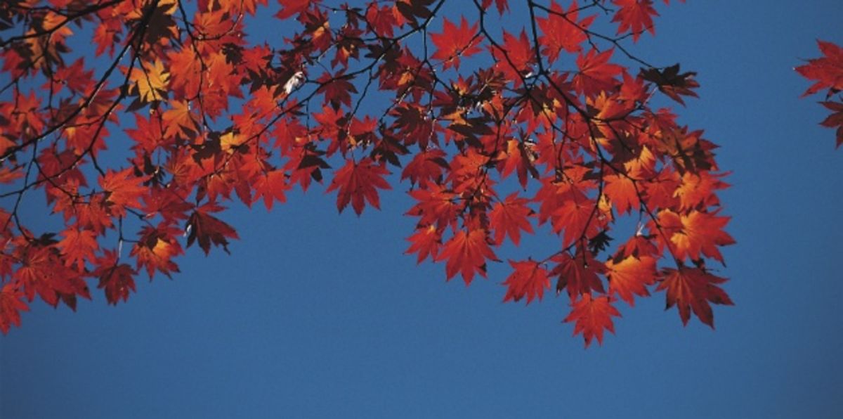 What the Change of Seasons Shows Us About Our Faith