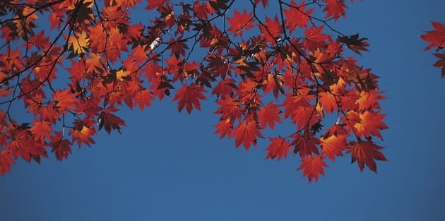 What the Change of Seasons Shows Us About Our Faith