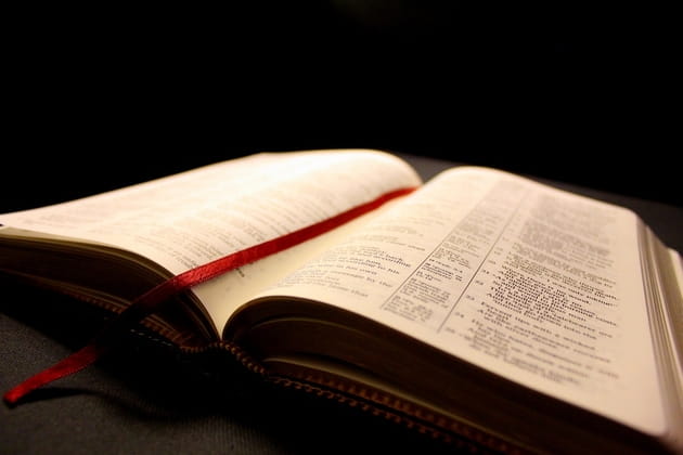 3. Episcopal doctrine holds that Scripture is the revealed word of God.