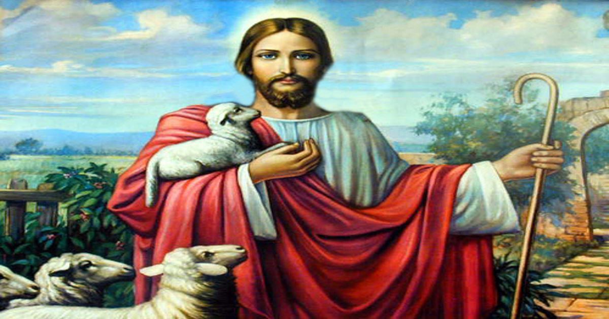 What is Yoke in the Bible? Meaning & Importance of Jesus' Teaching