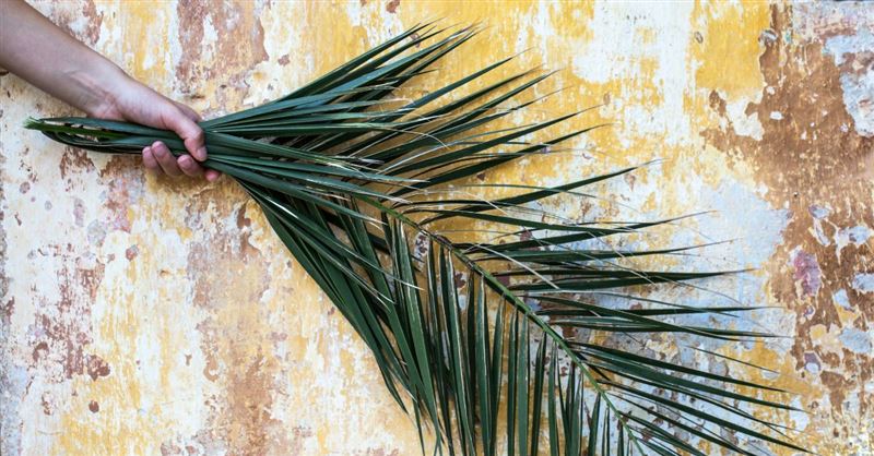 christian palm sunday images