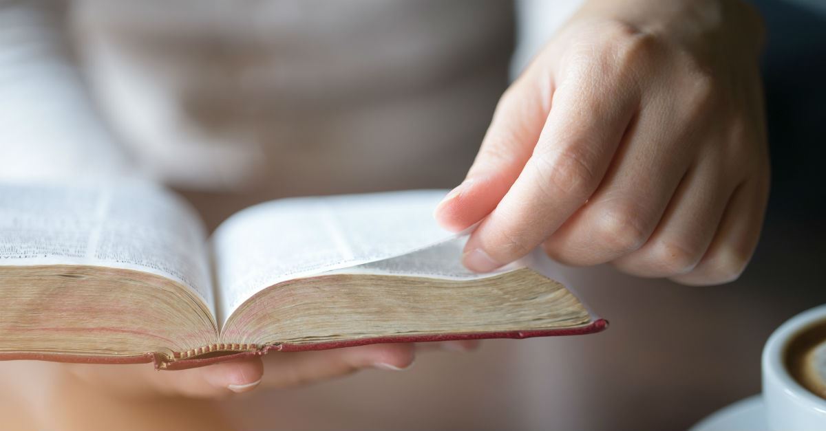 What Is the Sabbath Day, Sabbath Year, and the Year of Jubilee? The Meaning and Purpose