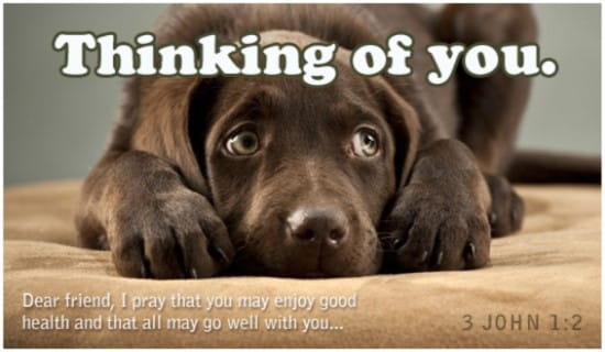 Free Thinking of You eCard - eMail Free Personalized Care