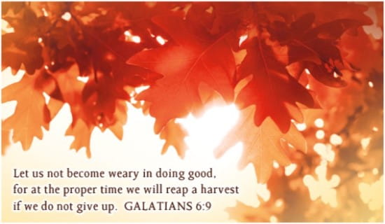 Free Galatians 6:9 eCard - eMail Free Personalized Scripture Online