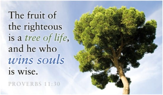 Free Win Souls eCard - eMail Free Personalized Scripture Online