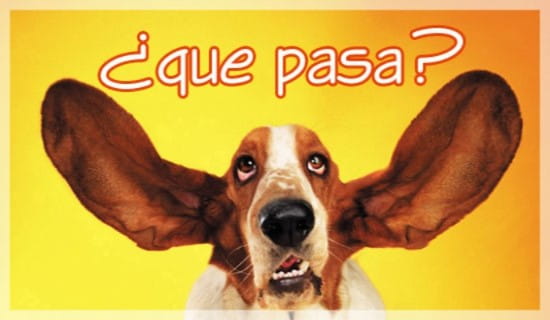 Que pasa ese vato loco image