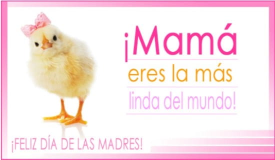 ¡Mamá eres la más linda del mundo! ecard, online card