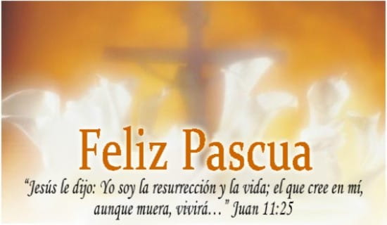 Feliz Pascua!! 15469-feliz-pascua-9