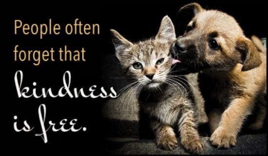 Free Kindness is Free eCard - eMail Free Personalized Animals Cards Online