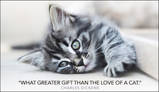 Love of a Cat ecard, online card