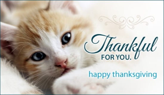 Thankful for You ecard, online card