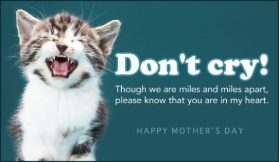 Don't Cry, Mom! ecard, online card