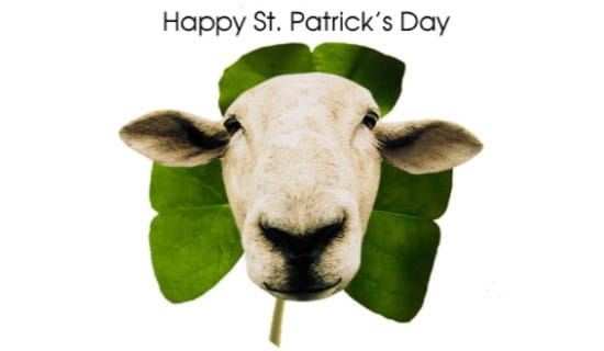 Happy St. Patrick's  ecard, online card