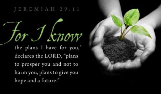 Free Jeremiah 2911 Ecard Email Free Personalized Scripture Online