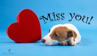 Free I Miss You eCard - eMail Free Personalized Care & Encouragement ...