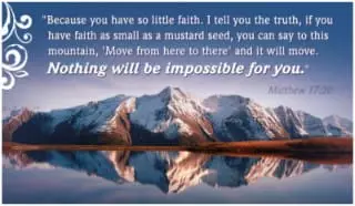 Matthew 17:20 - He replied, “Because you have so little faith. ...