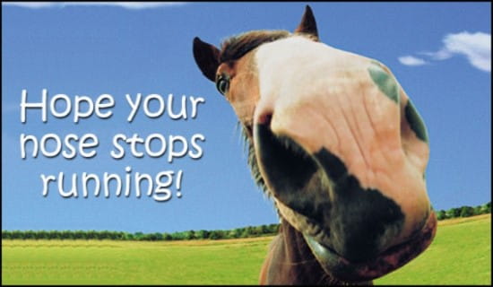 Hope Your Nose Stops Running! ecard, online card